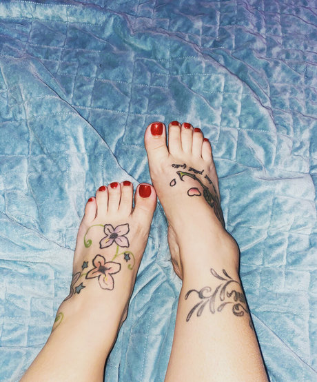 xtaylor206x model perfect picture