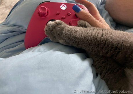 abouttheboobsvip profile pic