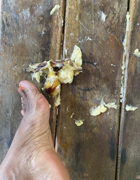 kittnsoles pornstar perfect galleries