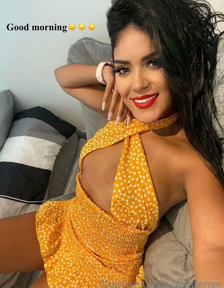 zaidferrer star art galleries