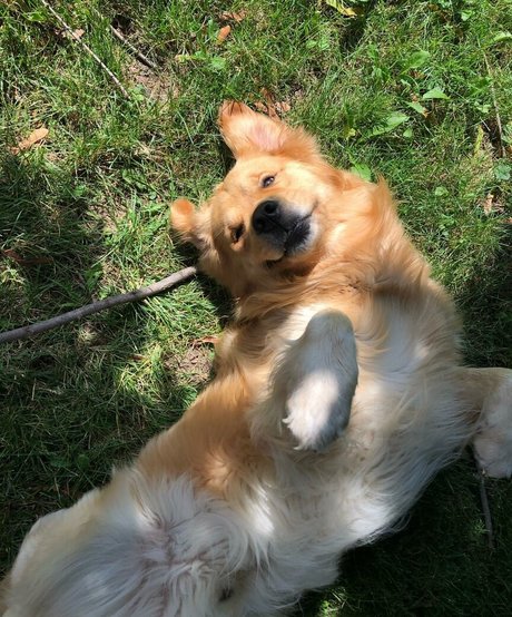 bubbablith thumbnail