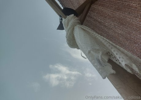 sakura odiosa star adult image