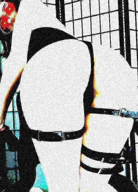 pinexgrey hd star photos