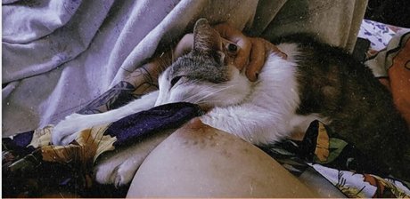 Hurona Rolera beautiful pornstar photo