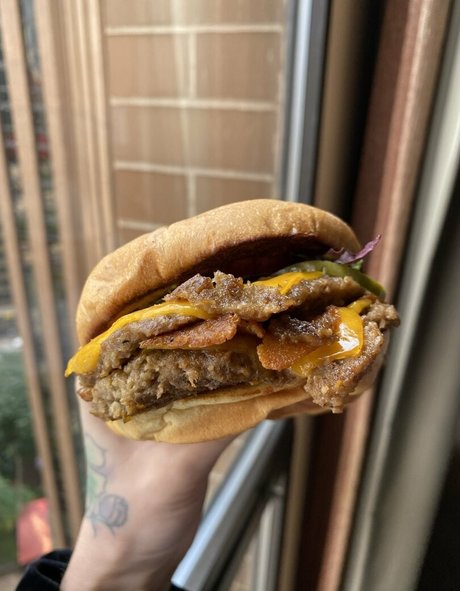 brookes world model top pics