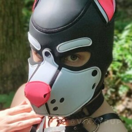 vixxypup sex pornstar picture