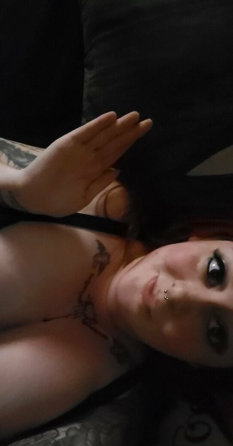 paradox 5683 star perfect picture