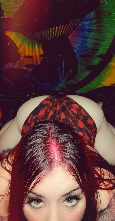 paradox 5683 model free pictures