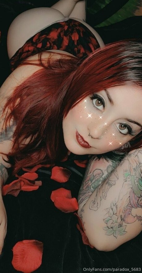 paradox 5683 model top pics