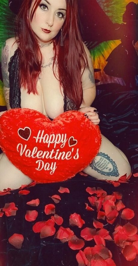 paradox 5683 star top gallery