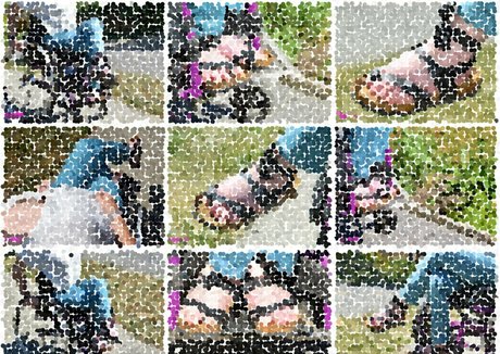 theparatara sexy star gallery