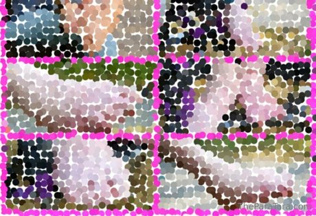 theparatara art star photo