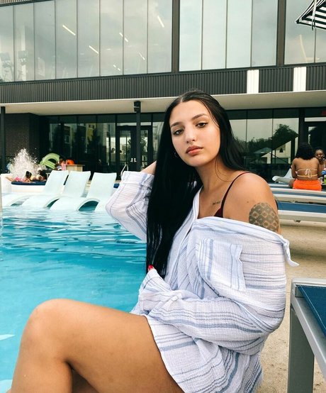 Alison Rainer art star img