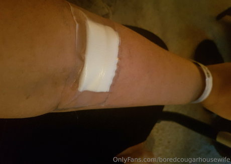 boredcougarhousewife model sex gallery