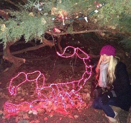 Krystal Gable art actress image