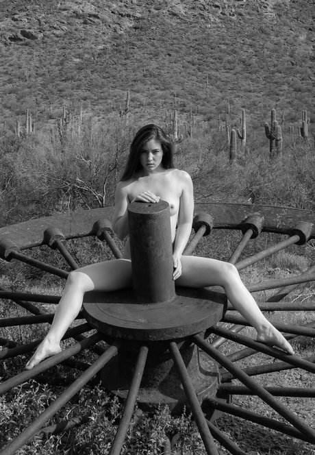 tomcat photography erotic star picture