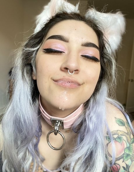 pupccubus exclusive star archive