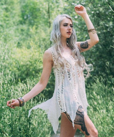 Farbenfuchs free star archive