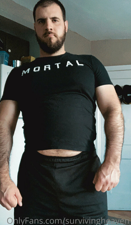 survivingheaven art star images