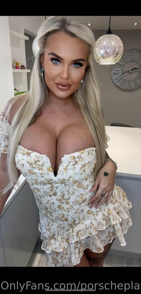 Porscheplatinum model beautiful archive