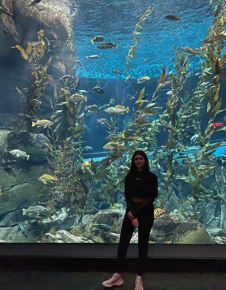 Wolfabelle top model gallery