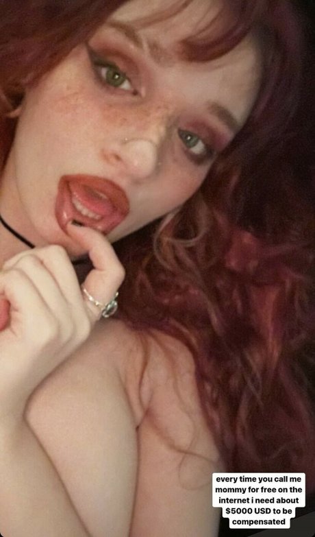 Spiider sam model photo