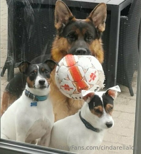 cindarellalou actress archive