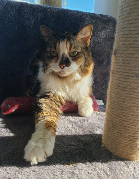 snoot nude pornstar picture