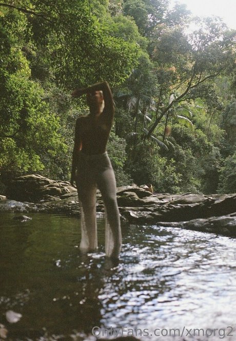 xmorg2 nice pornstar galleries