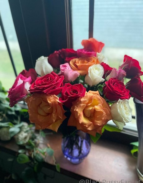 bpftcfree best star img