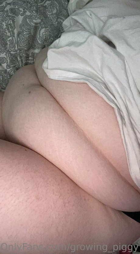 growing piggy1305 pornstar top image