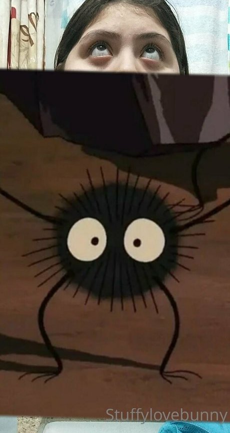 StuffyLoveBunny star beautiful archive