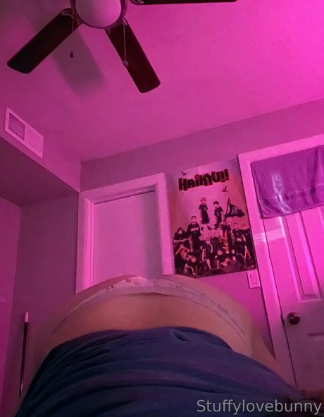 StuffyLoveBunny model nudes picture