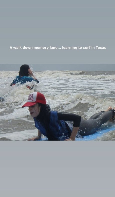 Sher Arar star free pictures