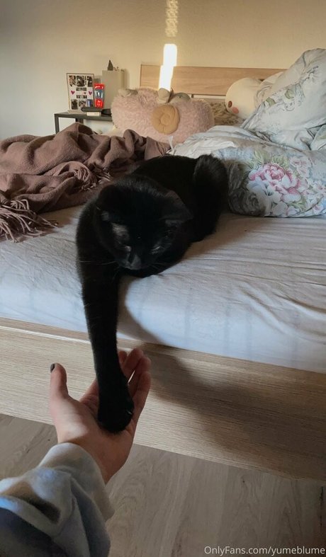 Yumeblume exclusive actress photos