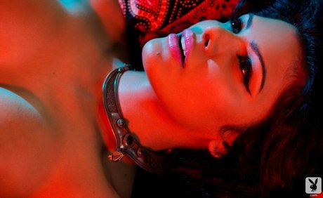 Sherlyn Chopra model pornographic images