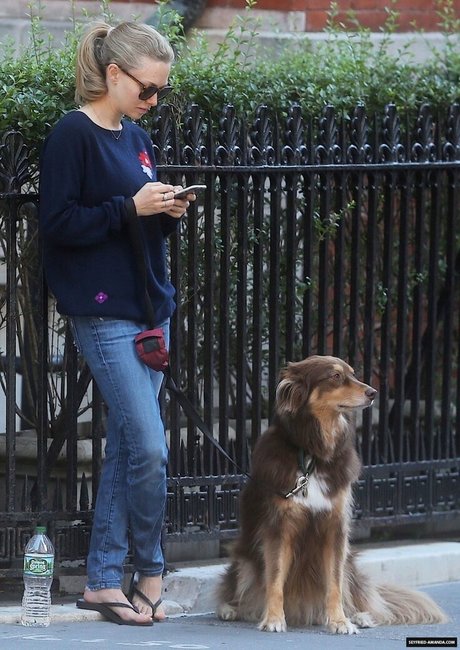 Amanda Seyfried pornstar hot pictures