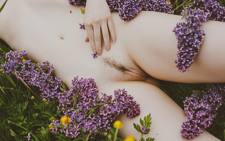 vauntastic hd model picture