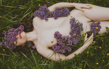 vauntastic model img