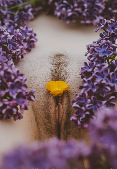 vauntastic pornstar exclusive img