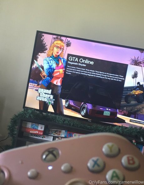 gamerwillow model perfect pictures