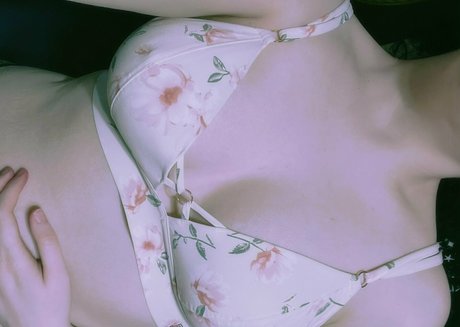 honeybeestings porn actress img