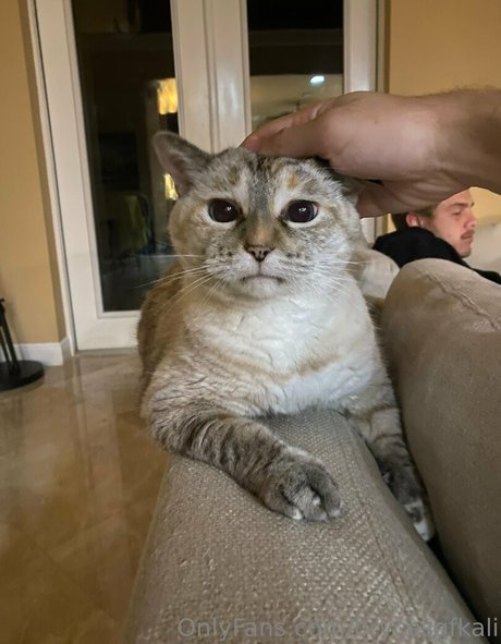 brycesgfkali adult model archive