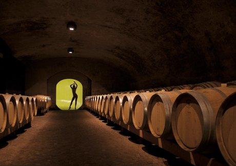 Miriam Schwarz naked actress galleries