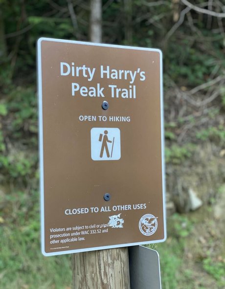 ms adventure star pretty images