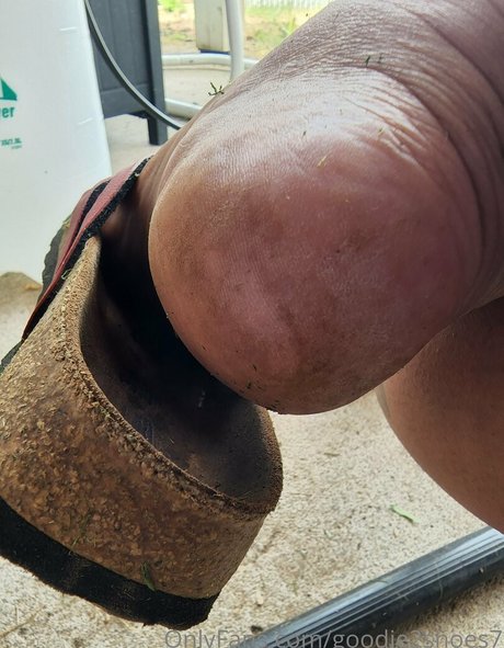 goodie2shoes7 model best archive