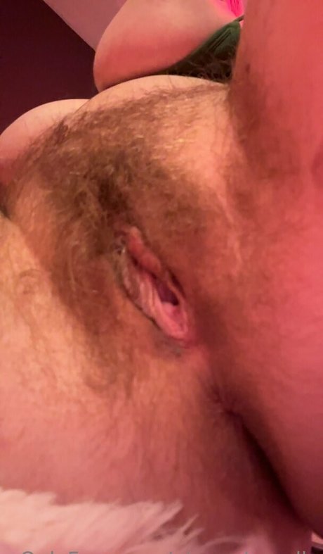 Piercednoodle high quality star galleries