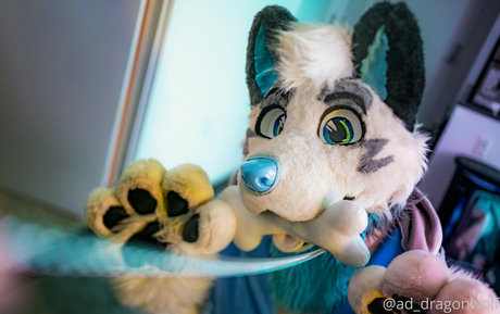 ad dragonwolf model perfect image