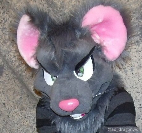 ad dragonwolf star img