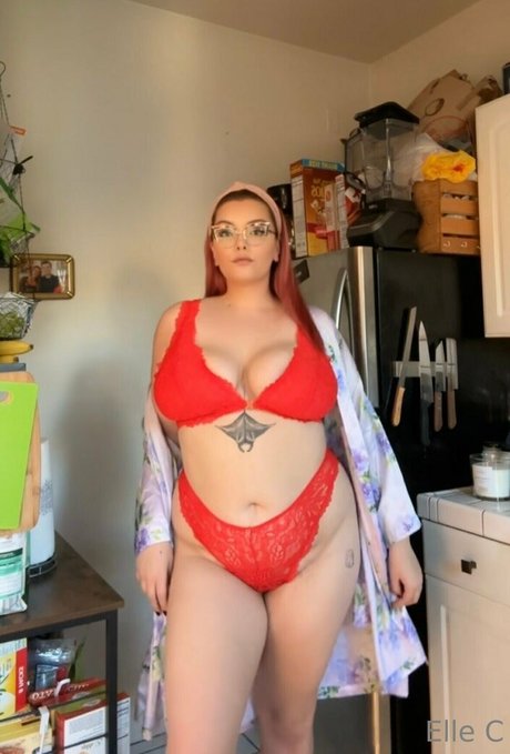 ellecroc perfect model galleries